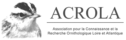 logo acrola