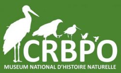 crbpo_logo-vert