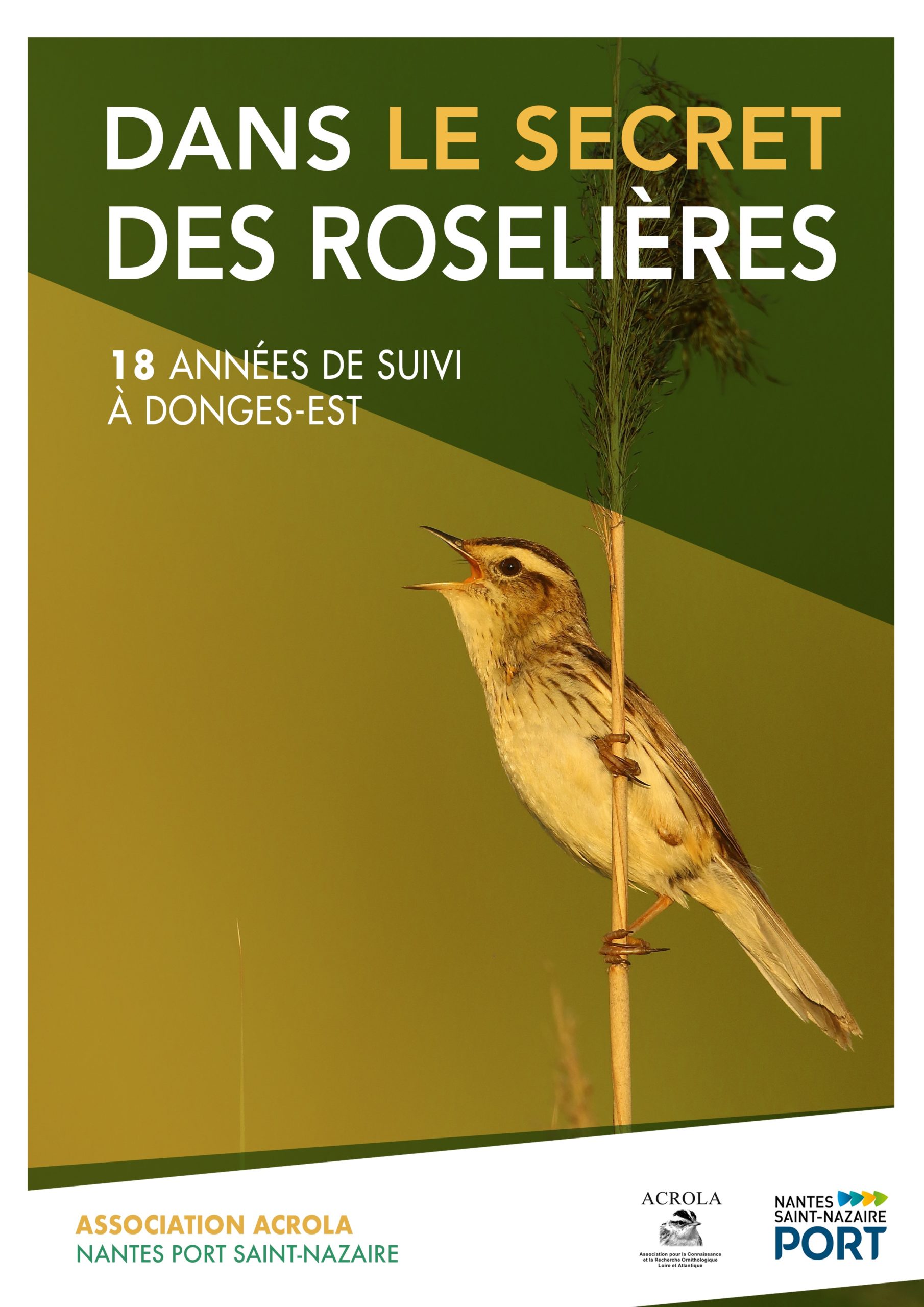 couv dans le secret des rosieres3 scaled