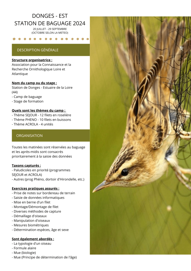 Oiseaux, météo et changement climatique - Station ornithologique