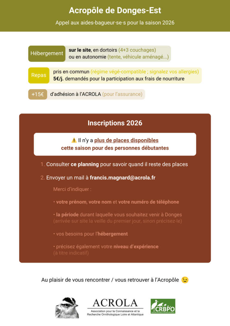 Flyer Donges 2026 brouillon 1