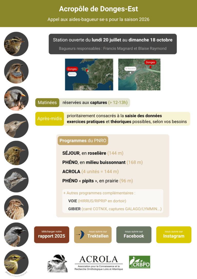 Flyer Donges 2026 brouillon